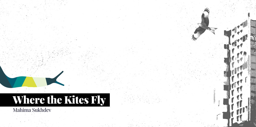 Where the Kites Fly—By Mahima Sukhdev