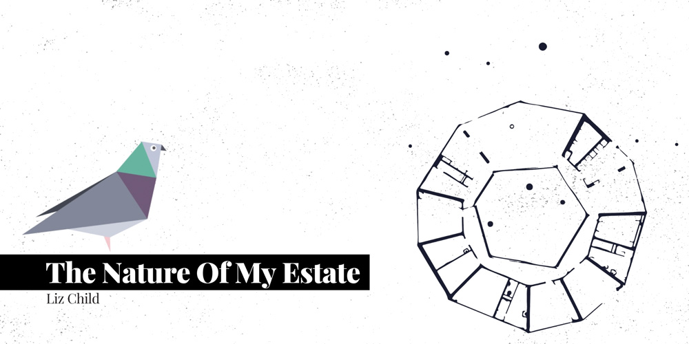 The Nature of my Estate—By Liz Child