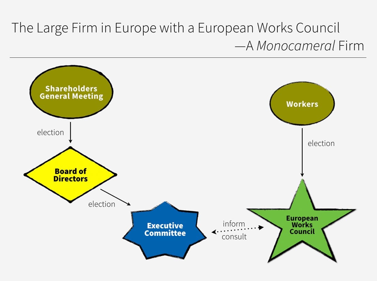 03 - The Large Firm in Europe with a European Works Council