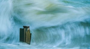 Standing Firm, Peter Hickson / flickr.com (CC-BY-NC-ND 2.0)