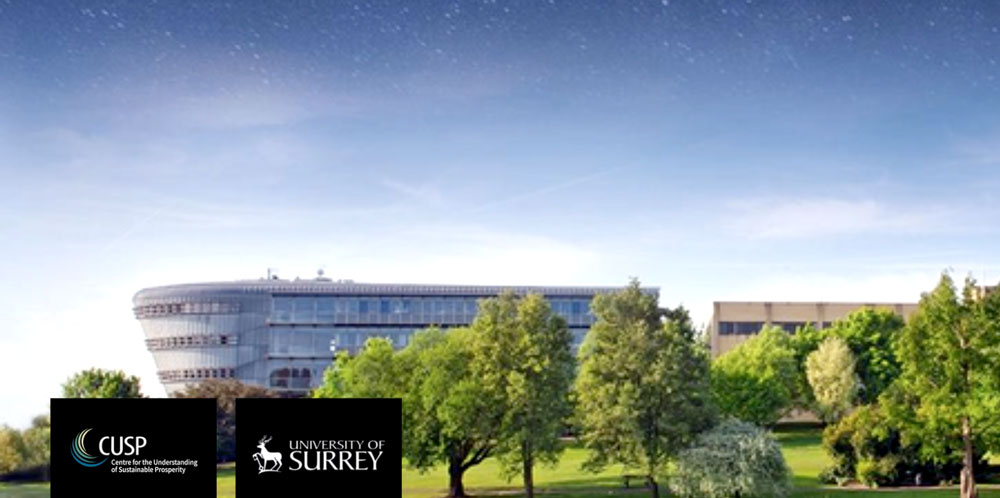 Professorship Vacancies at new Surrey Institute for Sustainability
