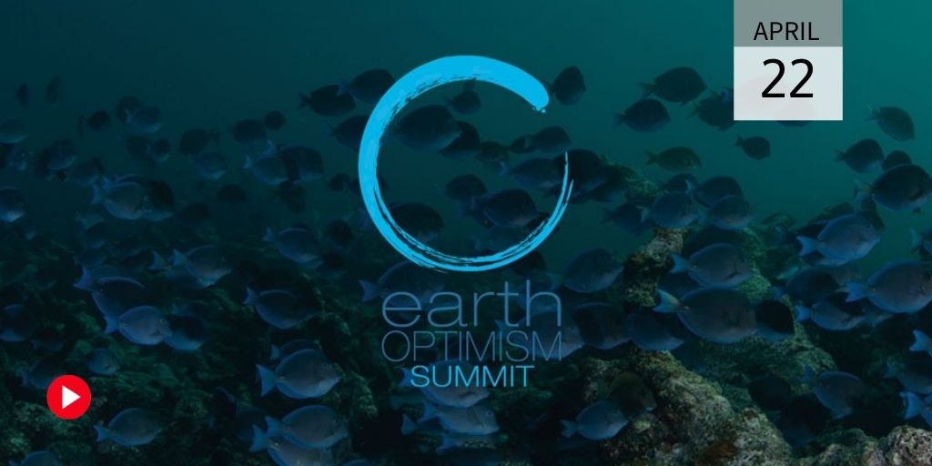 Conservation and the real world | Earth Optimism Summit with Tim Jackson
