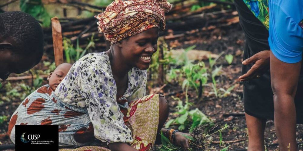 Green Farm Africa offers an innovative model for African agriculture, integrating advanced technologies with indigenous knowledge, aligning sustainable practices with economic feasibility, and strengthening local communities through improved access to global markets.