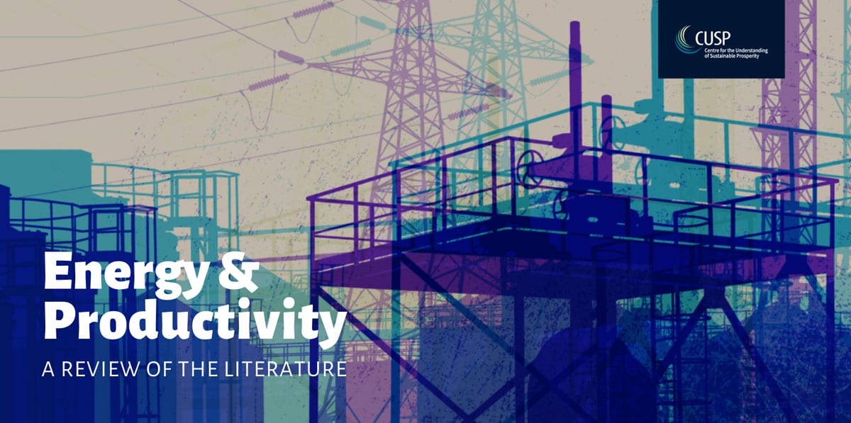 Energy and Productivity—a review of the literature | Working Paper by Shimaa Elkomy, Simon Mair and Tim Jackson