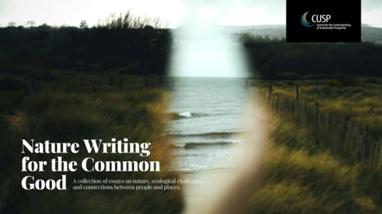 How can nature writing contribute to the common good, we wanted to know? Could writing about nature ‘help generate a collective and popular politics of conservation and connection’, asked Kate Oakley and Ian Christie, inviting the contributions to this new online collection of non-fiction pieces on nature, ecological challenges, and connections between people and places.