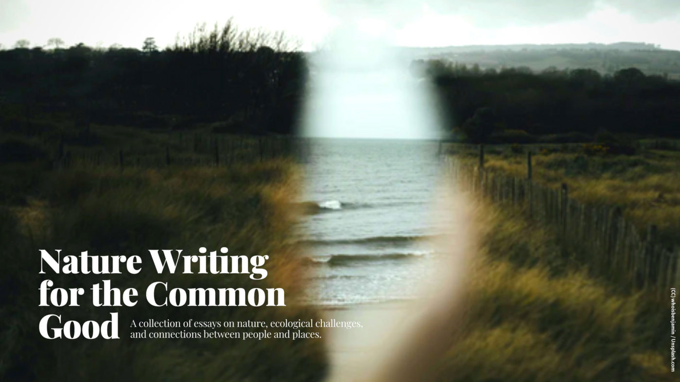 Nature Writing for the Common Good—A collection of essays on nature, ecological challenges, and connections between people and places