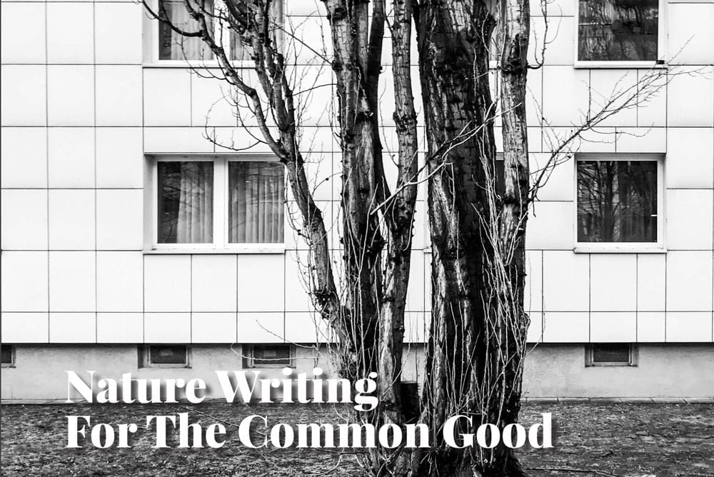 Nature Writing for the Common Good—CUSP calling for unpublished writers to contribute to a new online collection