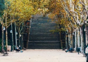 The Future Starts Today | CUSP Newsletter Oct 2018