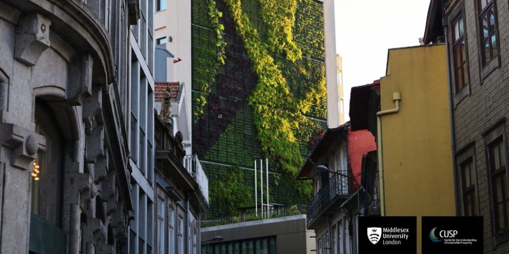 CUSP researcher Robyn Owen (Middlesex University) and Meike Siefkes (Norwegian University of Technology and Science) discuss Greentech financing for SMEs, a recent symposium and publication, and pathways to help disruptive startups scale for environmental impact.