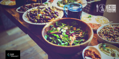 Social Enterprises: Transforming Local Food Systems from the Ground Up | Blog by Fergus Lyon