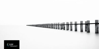 State of the Art | CUSP Newsletter, September 2025