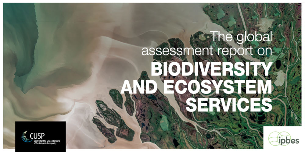 In 2019, the United Nations Intergovernmental Platform on Biodiversity and Ecosystem Services (IPBES) published a comprehensive review of biodiversity. With Prof Tim Jackson as contributing author to Chapter 6 'Options for Decision Makers', the review recognises that ‘a key element of more sustainable future policies is the evolution of global financial and economic systems to build a global sustainable economy, steering away from the current limited paradigm of economic growth’.
