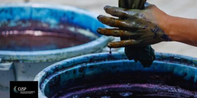 Confronting extractivism: new EY report with contributions by Tim Jackson