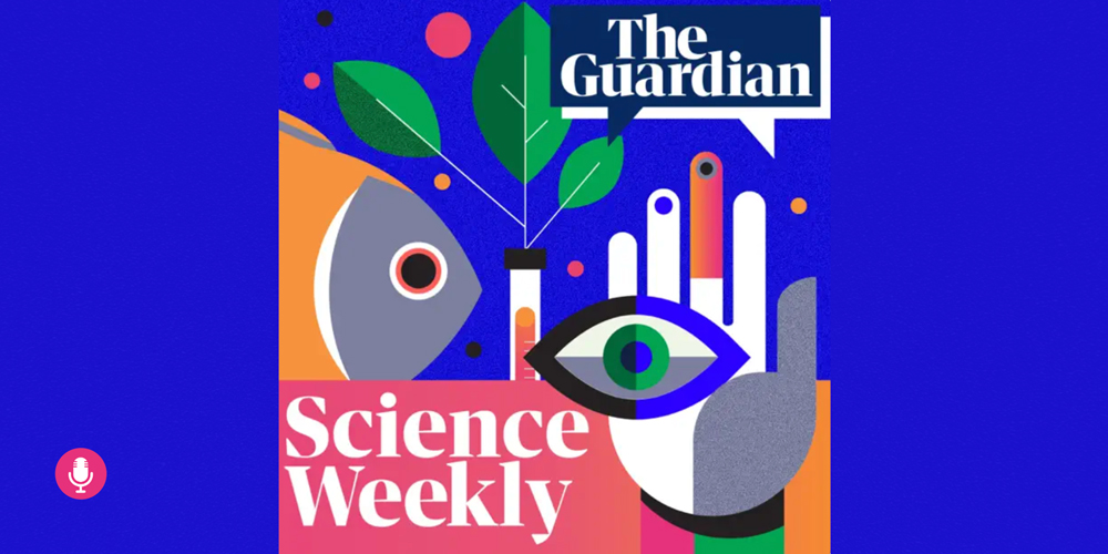 Podcast | #COP27: Is it time to rethink endless economic growth?—The Guardian Science Weekly with Tim Jackson