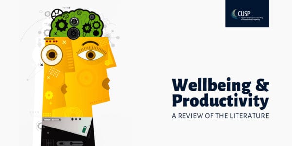 This report reviews the relationships between the different aspects of wellbeing, productivity, and productivity growth. It is the culmination of a desk-based evidence review, survey, and a mapping workshop held with experts from backgrounds including psychology, sociology, economics, and design. The focus is on wellbeing and labour productivity.