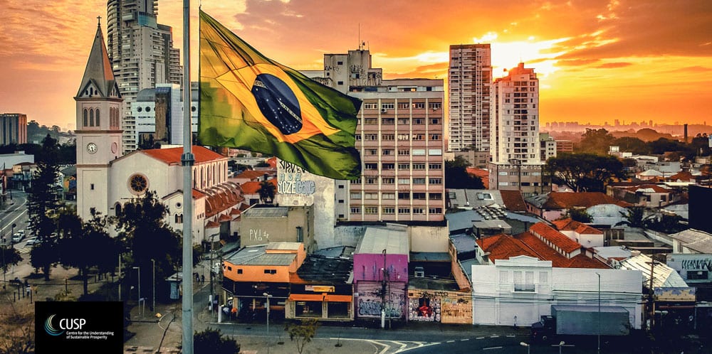Brazil, lifestyles and lockdown: sustainable consumption in a disrupted society | Blog by Patrick Elf, Caroline Verfuerth and Carla Pasa Gómez